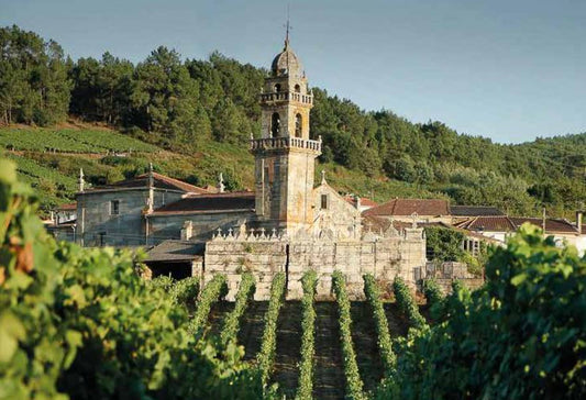 Nieuw in ons assortiment: Bodegas Cunqueiro uit Ribeiro